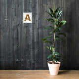 Letter A Animal Print Framed poster
